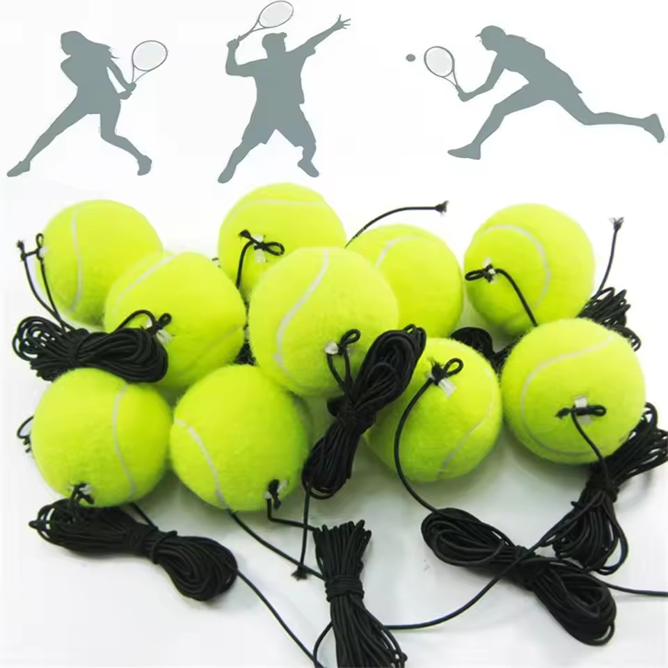 Professional Tennis Training P - Badminton Rebound Trainer ulasan dan harga